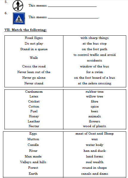 CBSE Class 2 EVS Sample Paper Set O