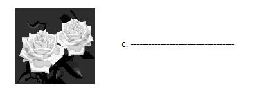 CBSE Class 2 EVS Sample Paper Set Q