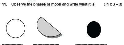 Draw a clock and show the time 3 0’clock ( 1 x 3 = 3 ) 10. Draw and label the parts of a plant (1 x 3 = 3)