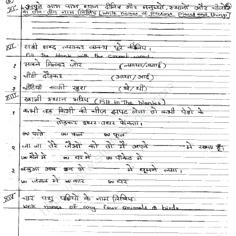 CBSE Class 2 Hindi Sample Paper Set P