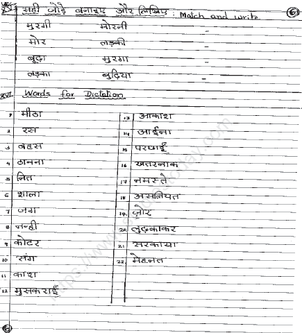 CBSE Class 2 Hindi Sample Paper Set P