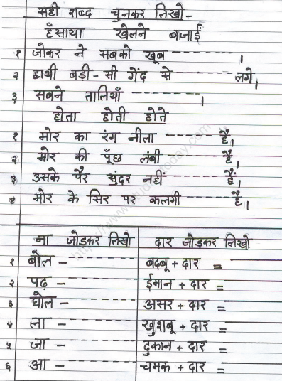 CBSE Class 2 Hindi Sample Paper Set T