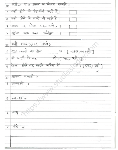 CBSE Class 2 Hindi Sample Paper Set W