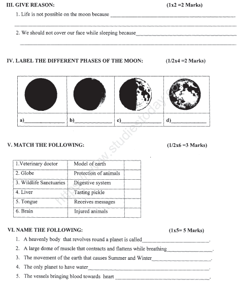 CBSE Class 3 EVS Sample Paper Set H