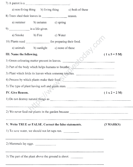 CBSE Class 3 EVS Sample Paper Set M