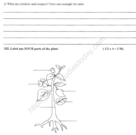 CBSE Class 3 EVS Sample Paper Set M