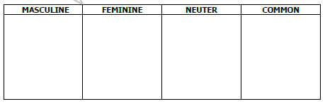 CBSE Class 3 English Sample Paper Set G