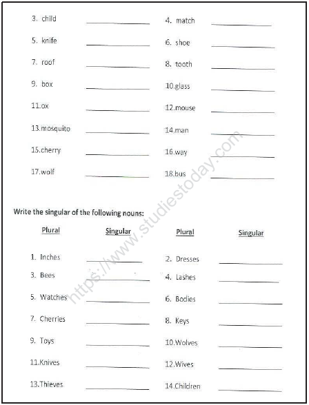 CBSE Class 3 English Sample Paper Set K