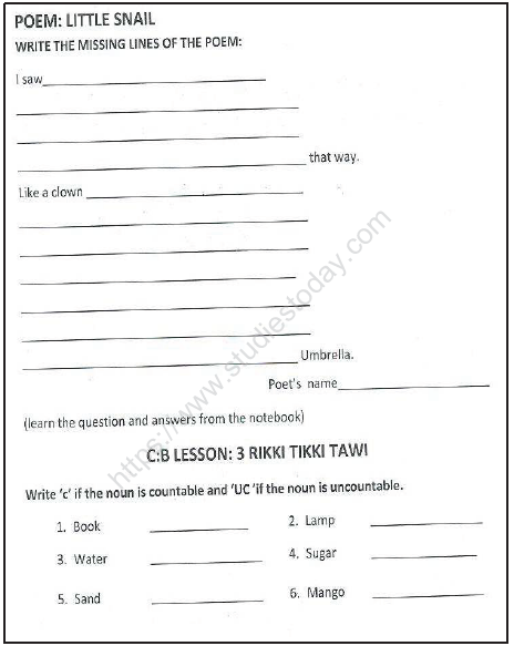 CBSE Class 3 English Sample Paper Set K