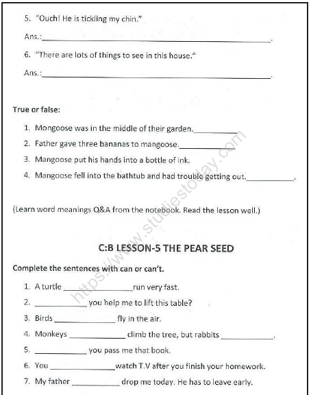 CBSE Class 3 English Sample Paper Set K