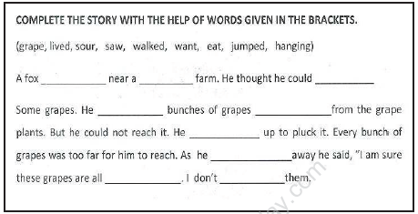 CBSE Class 3 English Sample Paper Set K