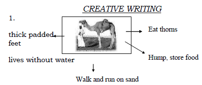 CBSE Class 3 English Sample Paper Set I