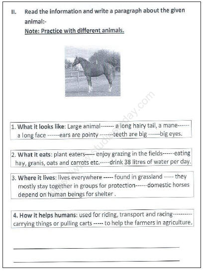 CBSE_Class_3_English_Sample_Paper_Set_O_2