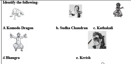 CBSE Class 3 GK Sample Paper Set B