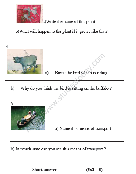 CBSE Class 4 EVS Sample Paper Set A