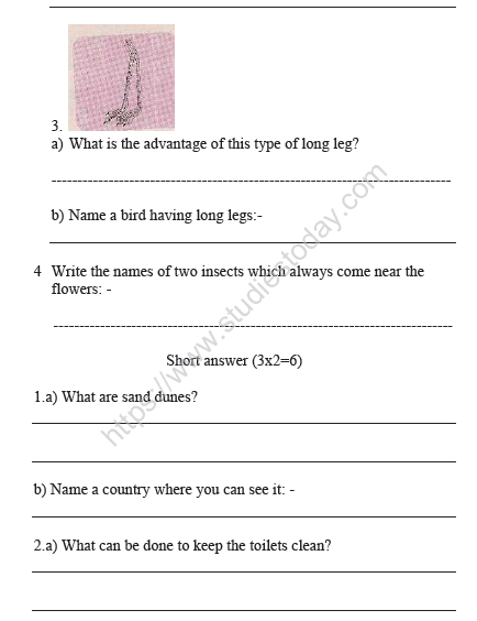 CBSE Class 4 EVS Sample Paper Set A