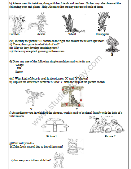 CBSE Class 4 Science Sample Paper Set E