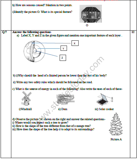 CBSE Class 4 Science Sample Paper Set E