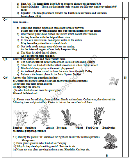 CBSE Class 4 Science Sample Paper Set E