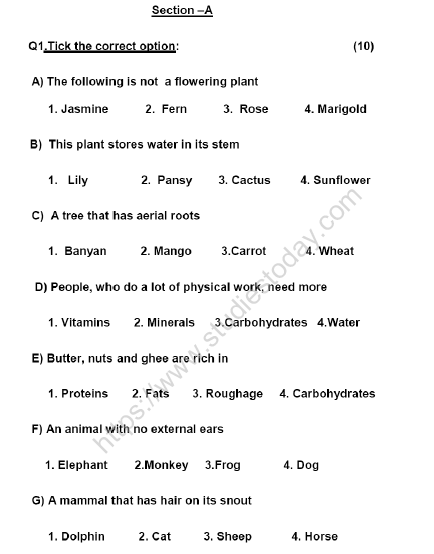 CBSE Class 4 Science Sample Paper Set K