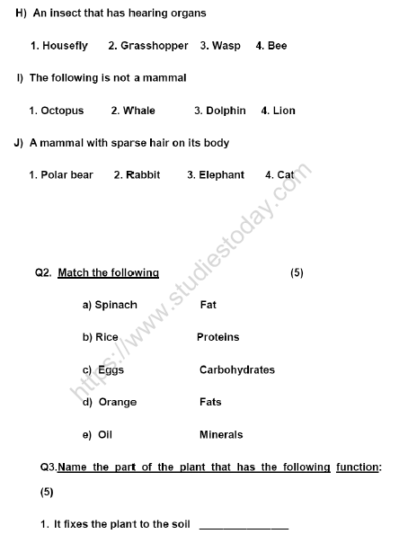 CBSE Class 4 Science Sample Paper Set K