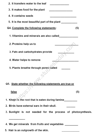 CBSE Class 4 Science Sample Paper Set K
