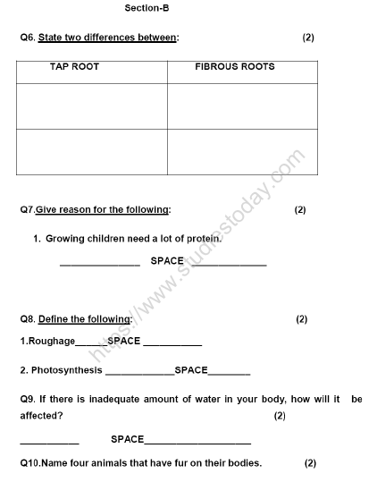 CBSE Class 4 Science Sample Paper Set K