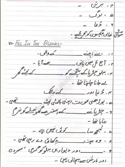 CBSE Class 4 Urdu Sample Paper Set 5