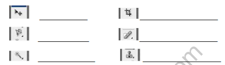 CBSE Class 6 Computer Science Sample Paper Set B