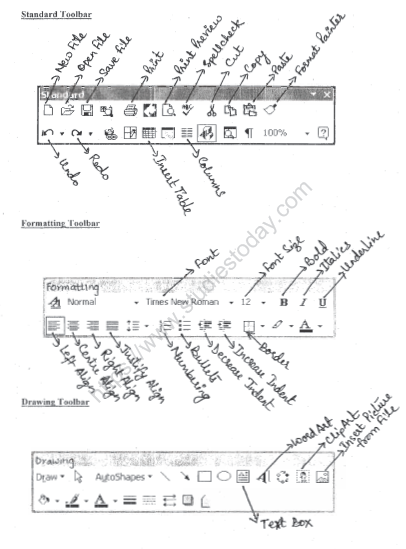 CBSE Class 5 Computer Science Sample Paper Set L