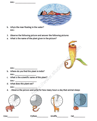 CBSE Class 5 EVS Sample Paper Set C