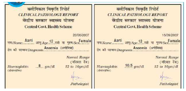 CBSE Class 5 EVS Sample Paper Set C