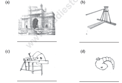 CBSE Class 5 EVS Sample Paper Set P