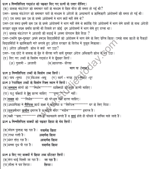 CBSE Class 5 Hindi Sample Paper Set A