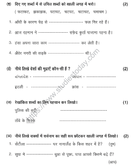 CBSE Class 5 Hindi Sample Paper Set L