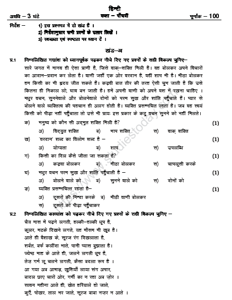 CBSE Class 5 Hindi Sample Paper Set N