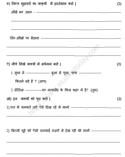 CBSE Class 5 Hindi Sample Paper Set Q