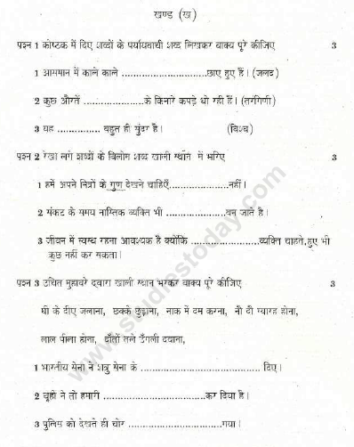 CBSE Class 5 Hindi Sample Paper Set V