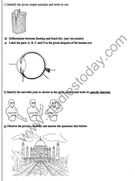 CBSE Class 5 Science Sample Paper Set D