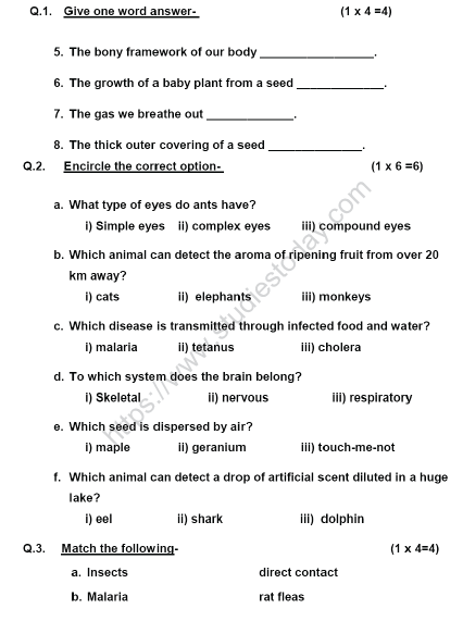 CBSE Class 5 Science Sample Paper Set J