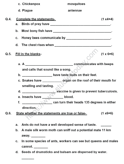 CBSE Class 5 Science Sample Paper Set J