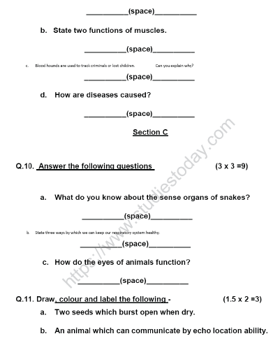 CBSE Class 5 Science Sample Paper Set J