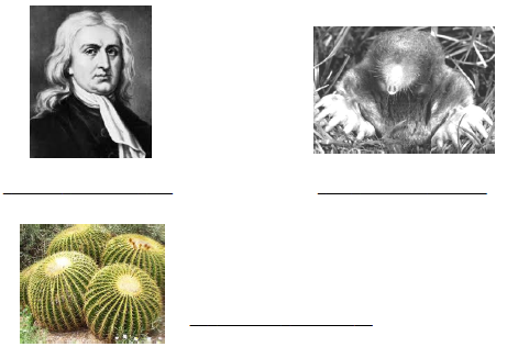 CBSE Class 5 General Knowledge Sample Paper Set D