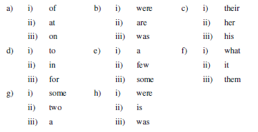 CBSE Class 6 English Sample Paper Set 10