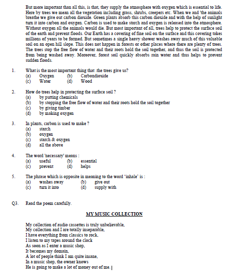 english grammar sample paper class 10