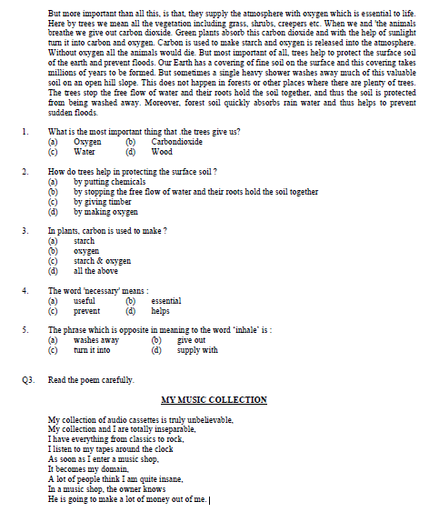 CBSE Class 6 English Sample Paper Set 6