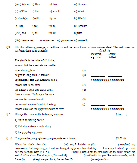 CBSE Class 6 English Sample Paper Set 6