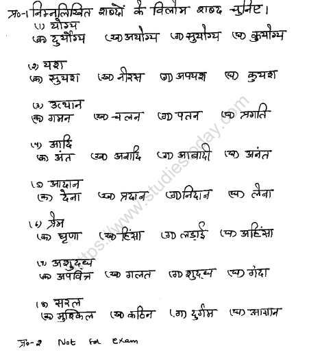 CBSE Class 6 Hindi Sample Paper Set W