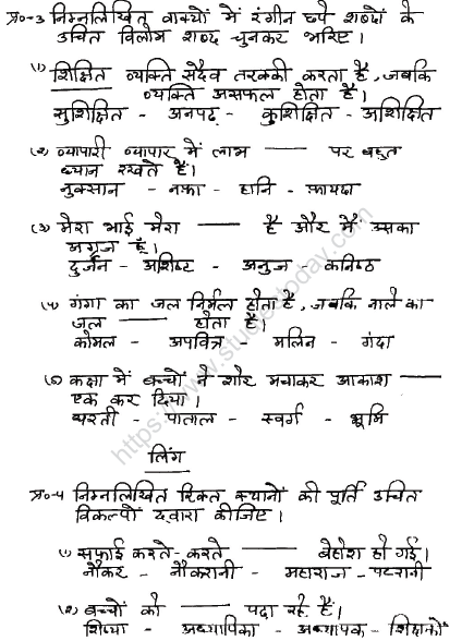 CBSE Class 6 Hindi Sample Paper Set W