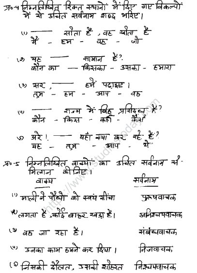 CBSE Class 6 Hindi Sample Paper Set W